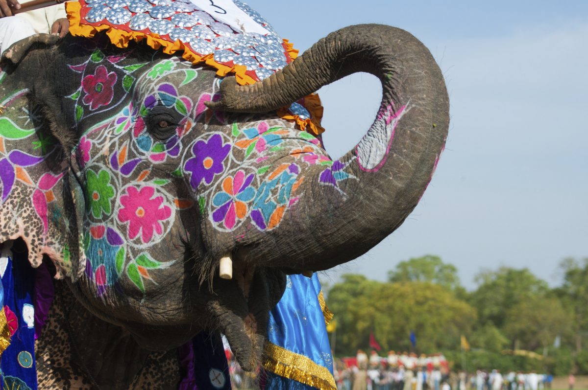 Celebraciones de Holi en India