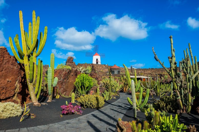 Qué ver en Lanzarote