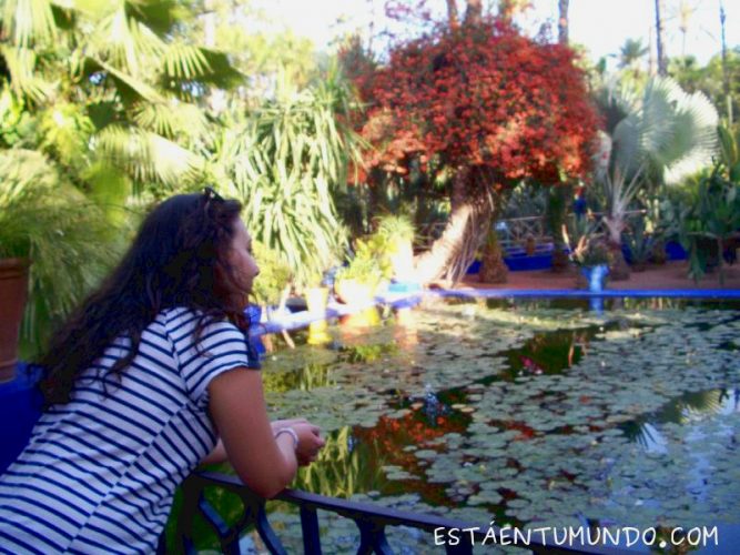 Jardines de Yves Saint Lauren