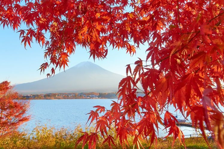 Otoño en Japon