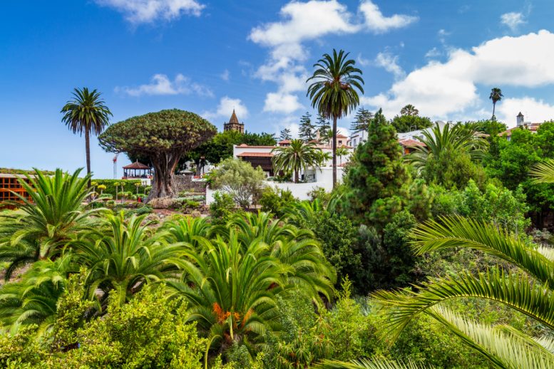 Qué ver en Tenerife