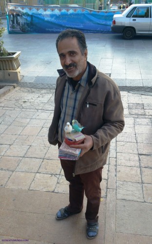 Hombre con periquitos en Shiraz