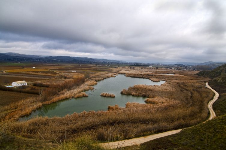 Laguna de San Juan cerca de Chinchón Alrededores de Chinchón en Madrid