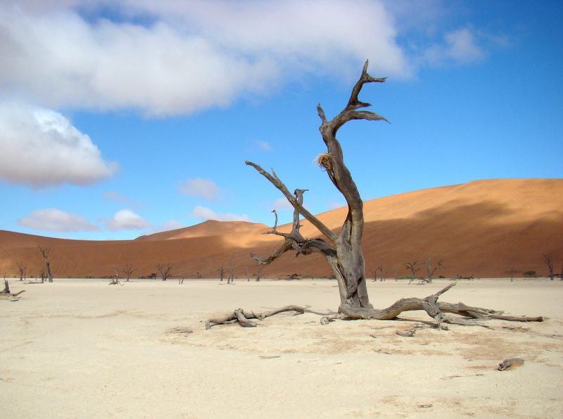 Paisajes de Namibia