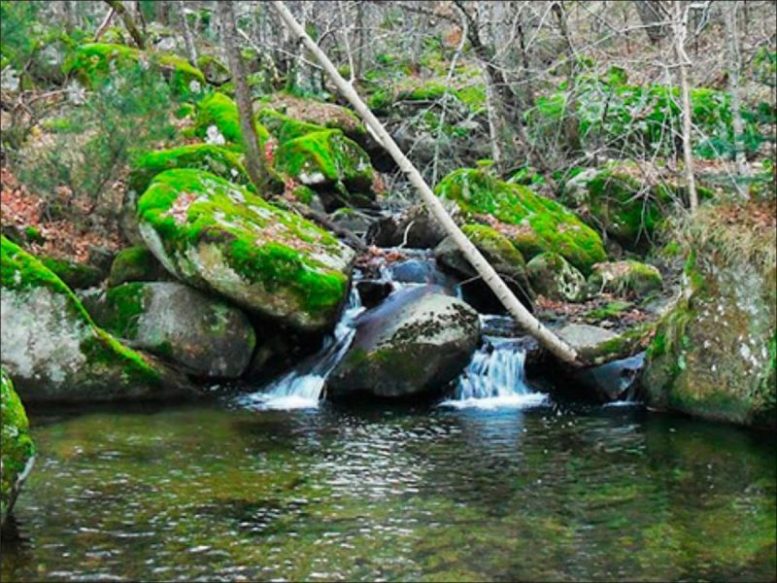 Pozas naturales en Horcajo de la Sierra Área recreativa la Tejera