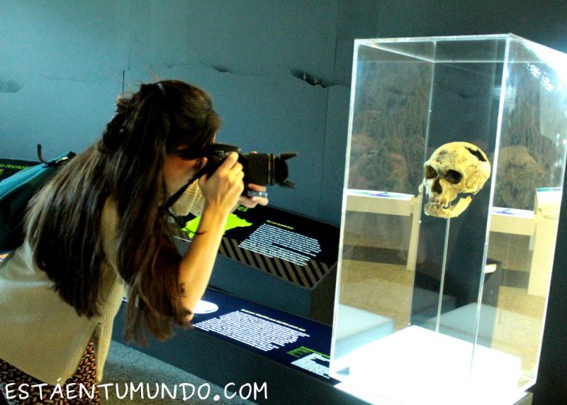 Restos de Atapuerca en Burgos