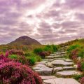 Parques Naturales en Irlanda