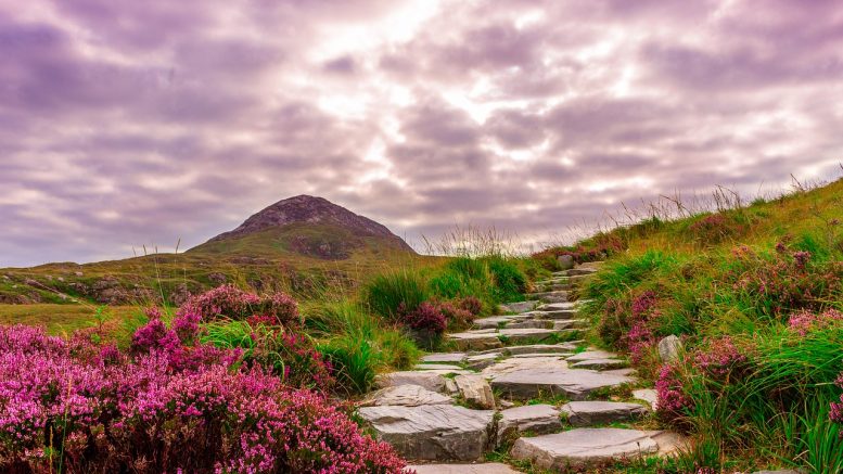 Parques Naturales en Irlanda