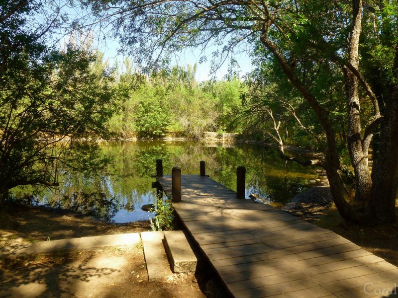 Qué ver en el Parque de Guadarrama