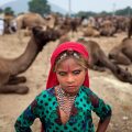 Feria del Camello en Pushkar