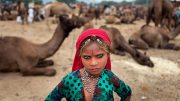 Feria del Camello en Pushkar