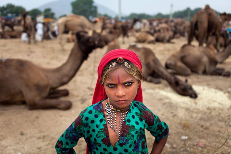 Feria del Camello en Pushkar