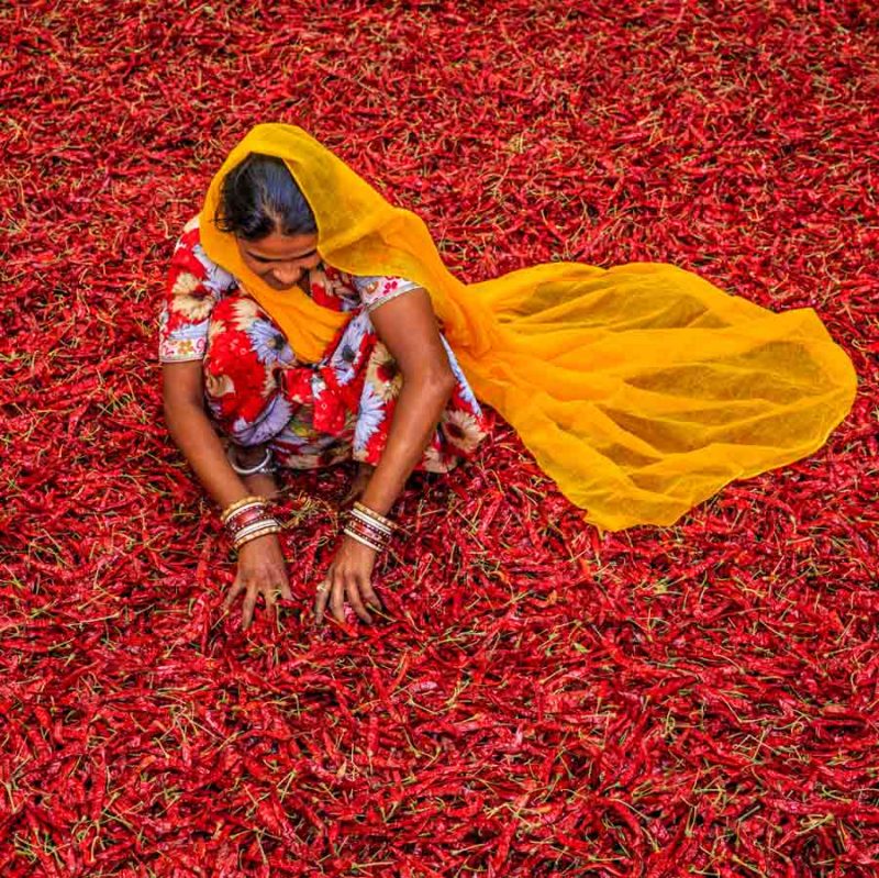 Agricultura en India