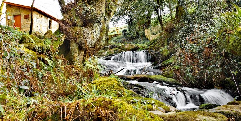 Senderismo en las Rías Bajas en Galicia