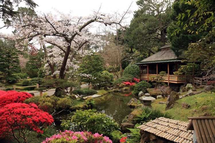 Jardín Japonés Hagiwara, SF