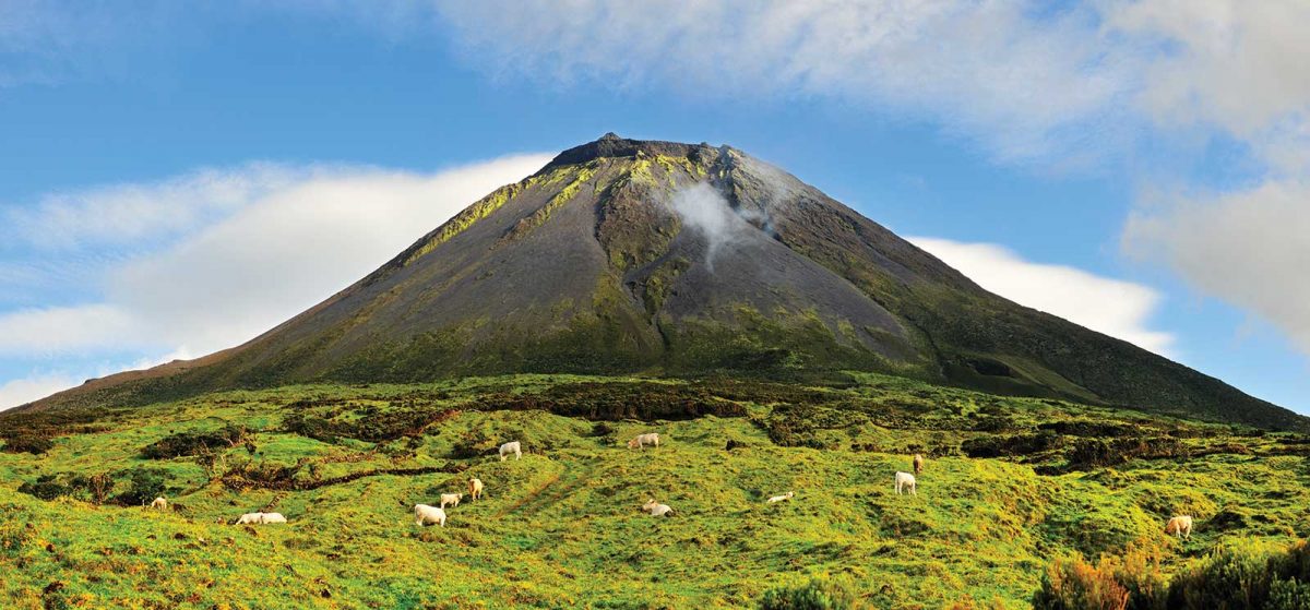 Qué ver en Isla de Pico en Azores