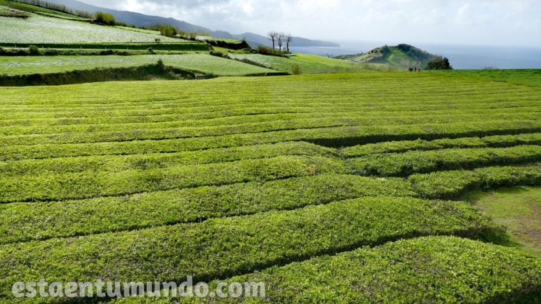 Qué ver en San Miguel en Azores