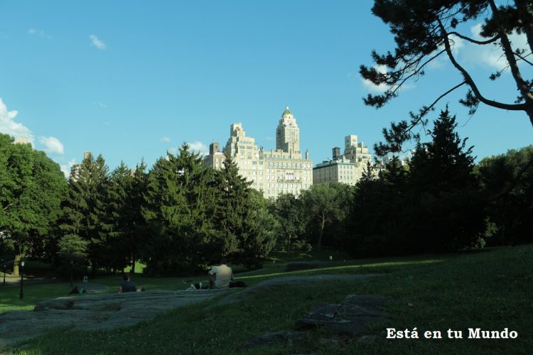 Central Park con vistas a NYC