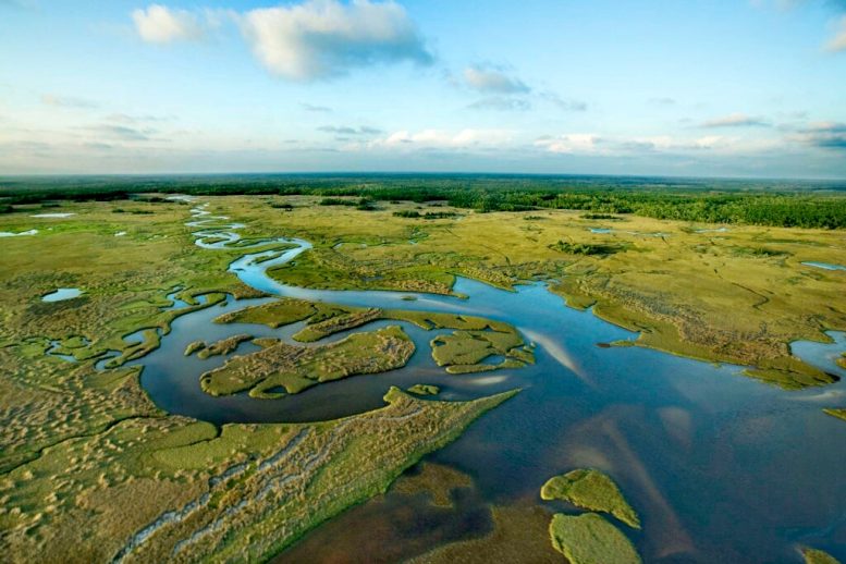 Excursiones desde Miami