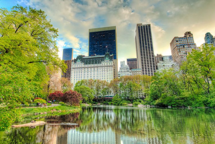 Hotel Plaza desde Central Park