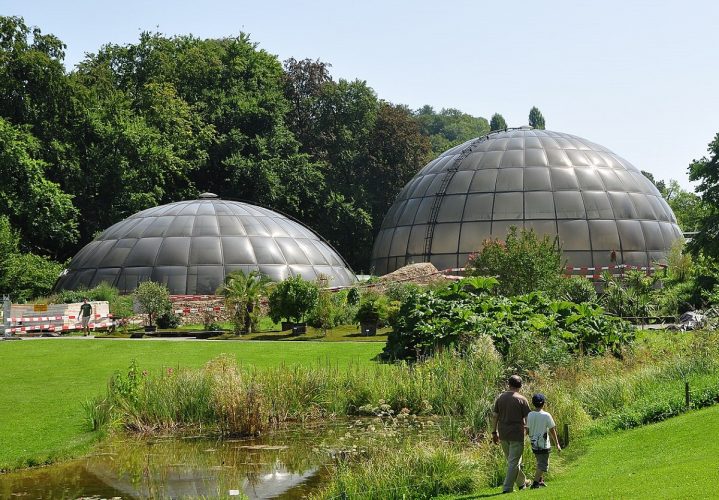 Jardín Botánico de Zúrich