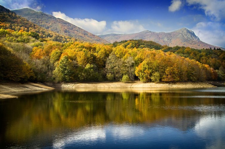 Parque natural del Montseny