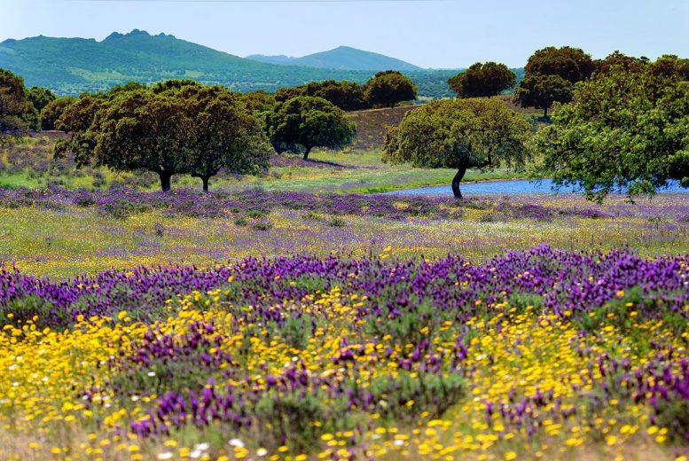 Qué ver en Extremadura