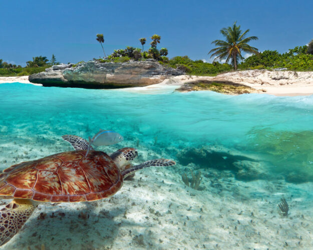 Qué ver en Riviera Maya