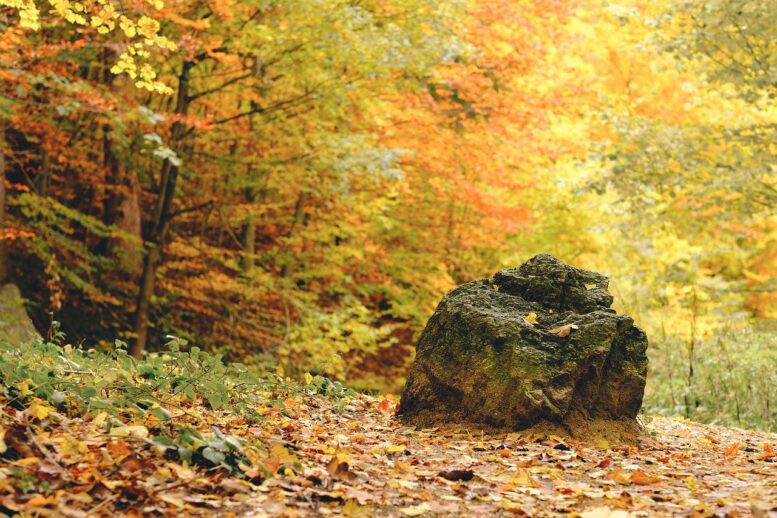 Excursiones en Ávila