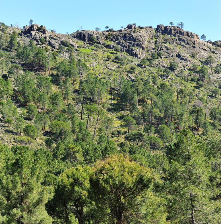 Senderismo en El Hoyo de Pinares