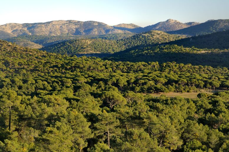 Senderismo en El Hoyo de Pinares