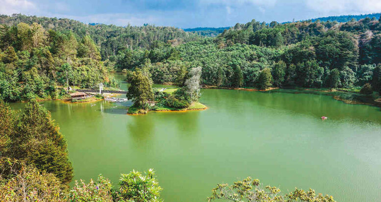 Parque Arví Parque Arví