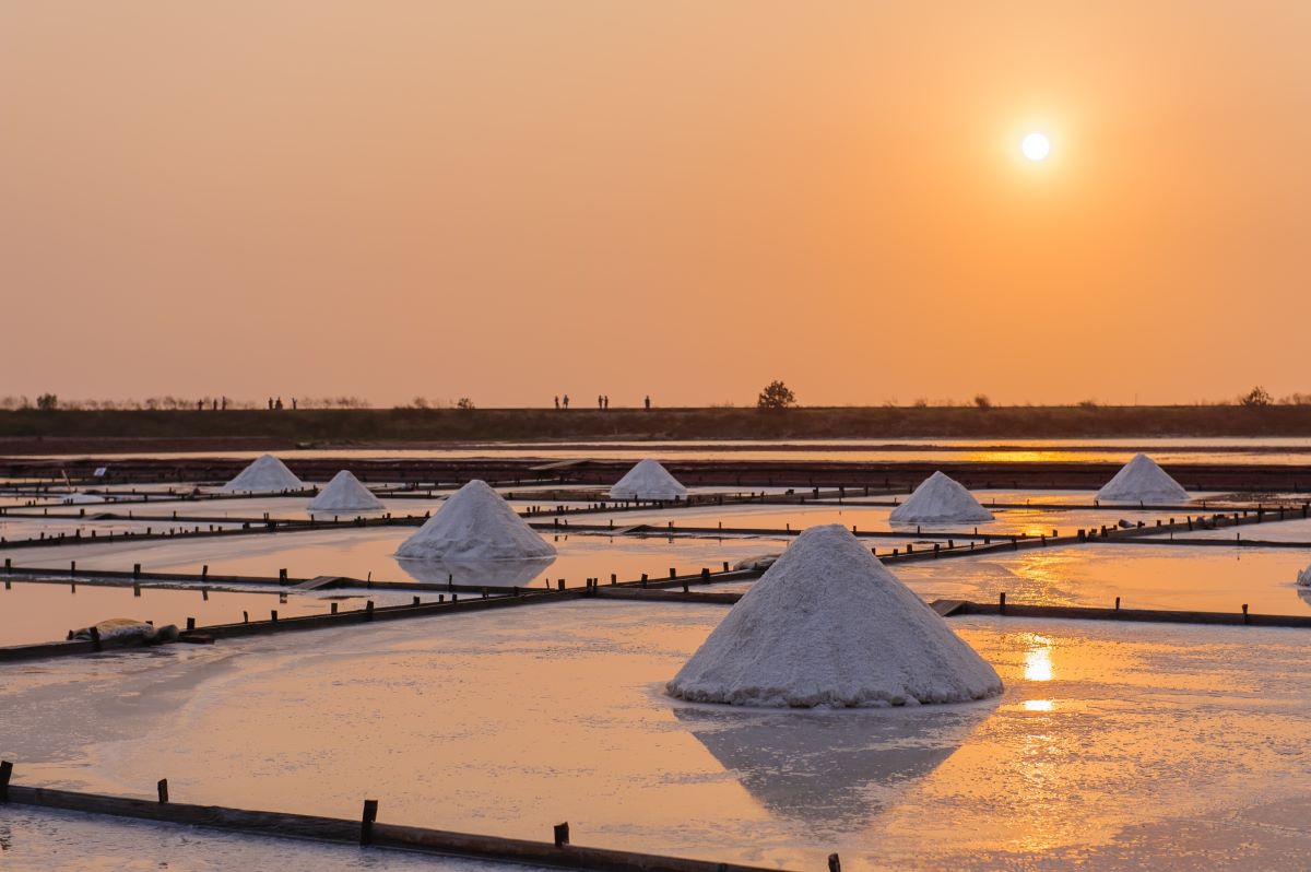 Salinas de Aveiro Salinas de Aveiro