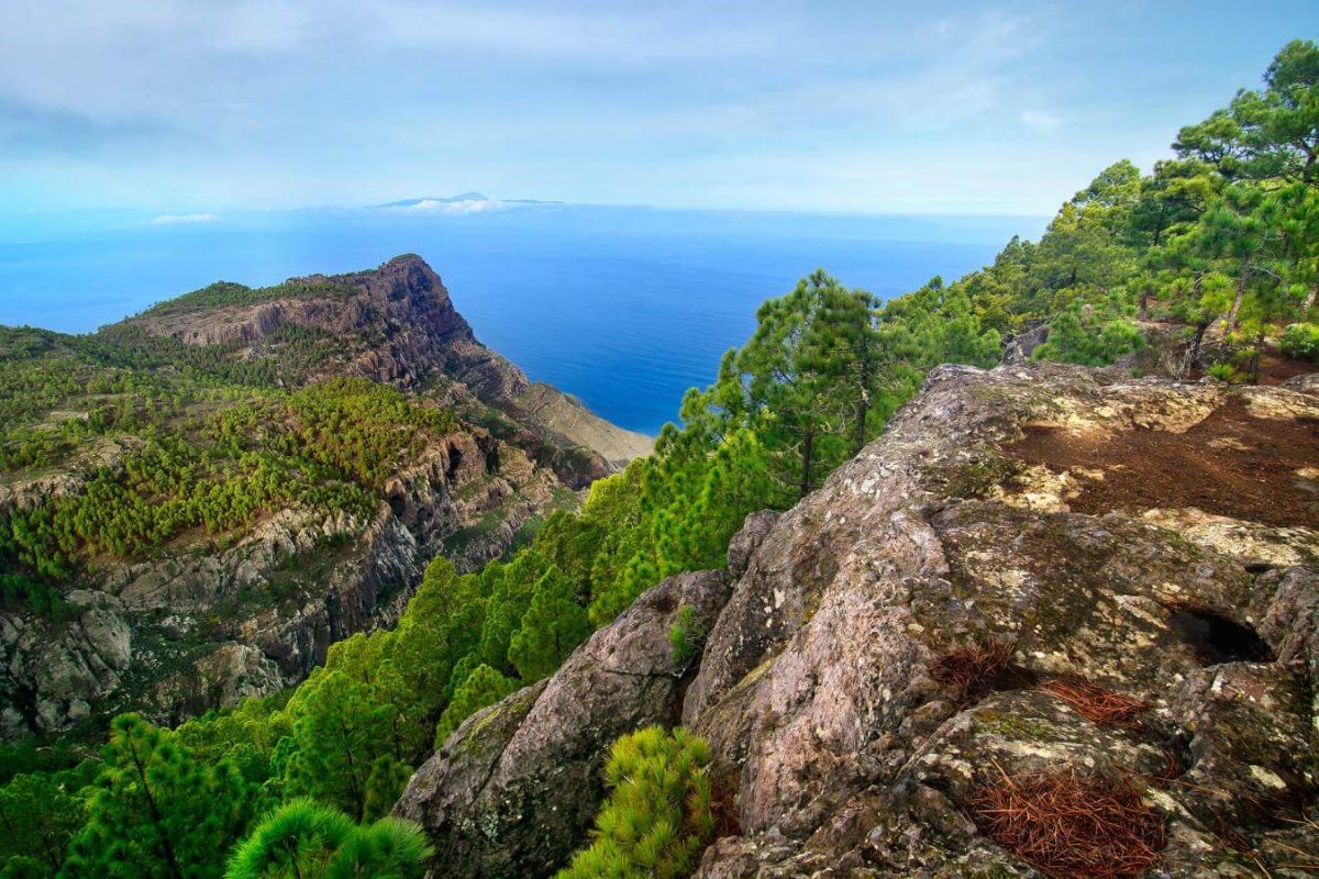 Parque Natural de Tamadaba