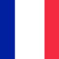 bandera de francia