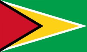 guyana bandera