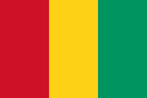 guinea bandera