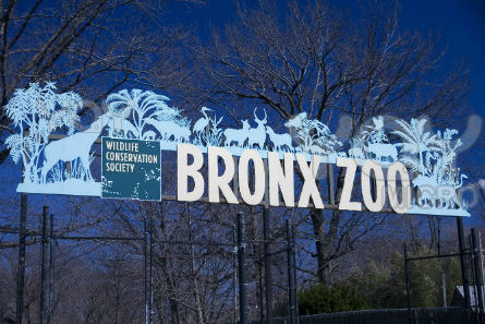 Bronx Zoo New York, EEUU