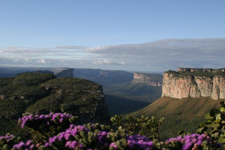 Cerro del Padre Ignacio