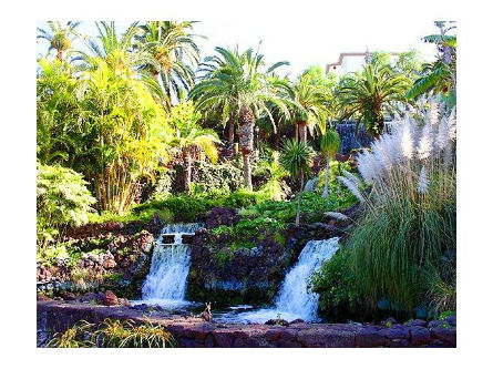 Cascadas en el Parque Taoro en Tenerife