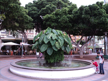 Plaza principal del Puerto de la Cruz