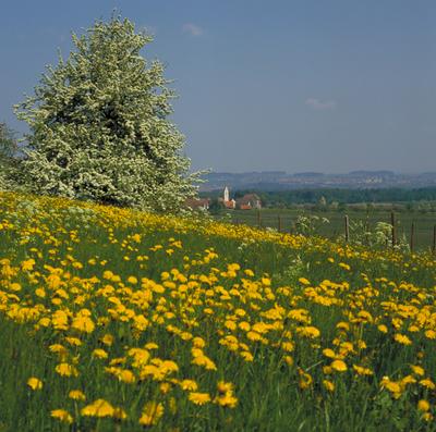 Estampa de primavera en Alemania